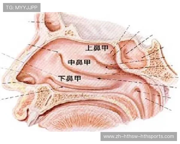 鼻腔适应力测试:判断你是否适合带鼻炎冬泳 鼻腔适应力测试:判断你是否适合带鼻炎冬泳